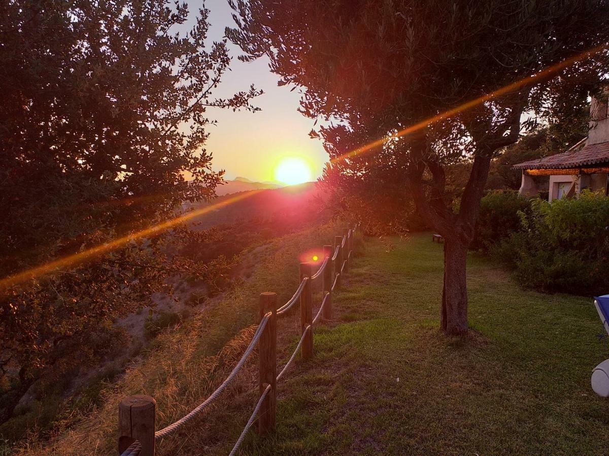 Villa Merveille บอร์มส์-เลส์-มิโมซาส์ ภายนอก รูปภาพ